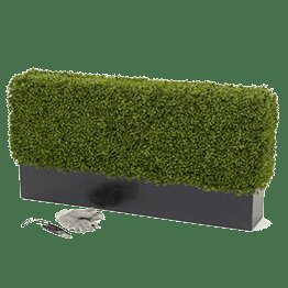 Уход за растениями - Студия Фитодизайна