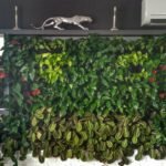 Вертикальное озеленение и комплексное в квартире