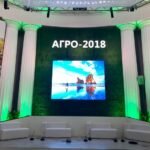 Озеленение выставки, ВДНХ