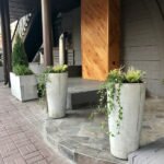 Озеленение террасы ресторана Reberbar, г. Киев