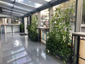 Greencascade Студия флористики Greencascade Студия флористики IMG 8830 300x225