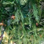 Флористическое оформление потолка из искусственных растений, 35 кв.м., ArtRamus бутик и кафе