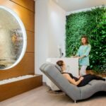 водопад и фитостена