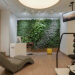 водопад и фитостена